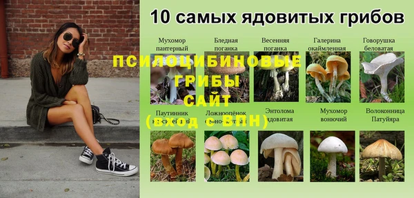 спайс Абинск