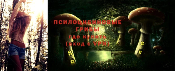 спайс Абинск