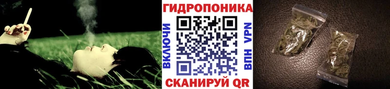 Марихуана тримм  как найти закладки  Усолье 